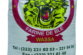 FARINE WASSA