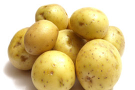 Pomme-de-terre